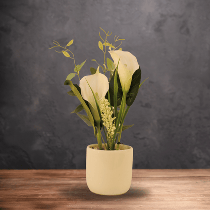 Calla Lily Plant With Planter